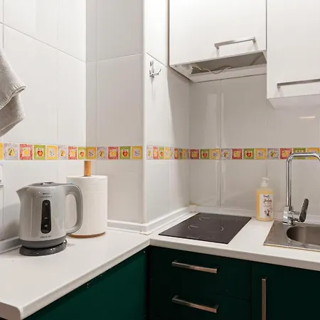 1 Bedroom Flat In Center Apartment